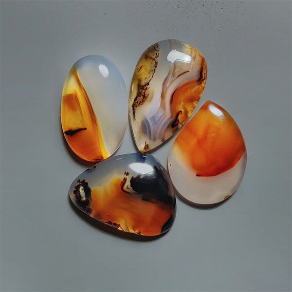 Montana Agate Cabochons Lot