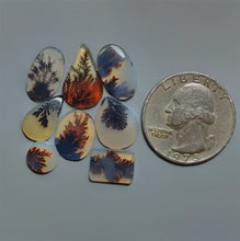 AAA Scenic Agate Cabochons Lot