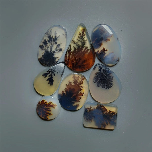 AAA Scenic Agate Cabochons Lot