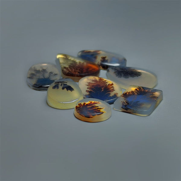 AAA Scenic Agate Cabochons Lot