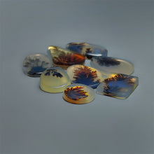 AAA Scenic Agate Cabochons Lot