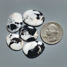 White Buffalo Turquoise Cabochons Lot