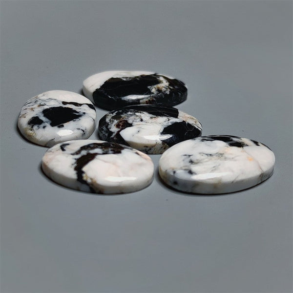 White Buffalo Turquoise Cabochons Lot