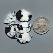 White Buffalo Turquoise Cabochons Lot