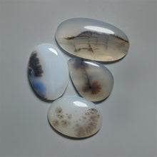 Scenic Dendritic Agate Cabochons Lot