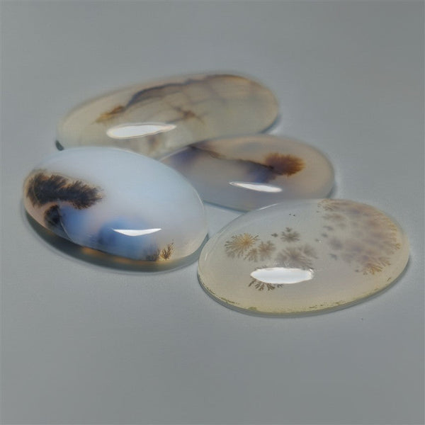 Scenic Dendritic Agate Cabochons Lot