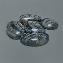 Orthoceras Fossil Cabochons Lot