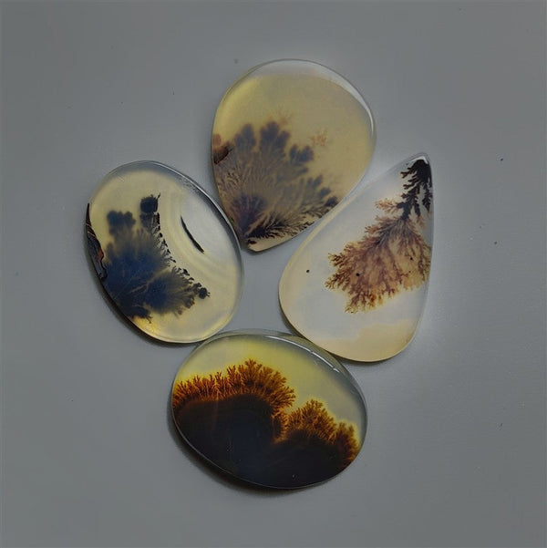 AAA Scenic Dendritic Agate Cabochons Lot