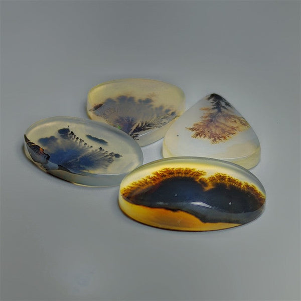 AAA Scenic Dendritic Agate Cabochons Lot
