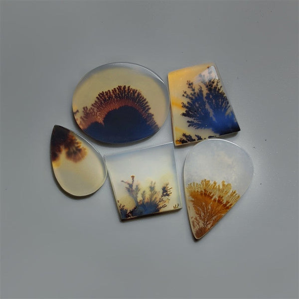 AAA Scenic Dendritic Agate Cabochons Lot