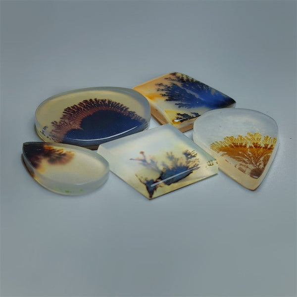 AAA Scenic Dendritic Agate Cabochons Lot