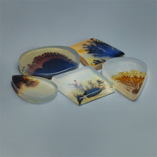 AAA Scenic Dendritic Agate Cabochons Lot