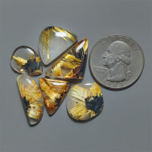 AAA Rare Star Golden Rutiated Quartz Lot