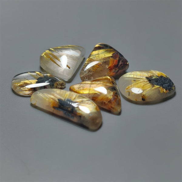 AAA Rare Star Golden Rutiated Quartz Lot