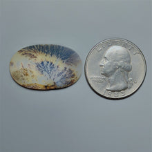 Scenic Agate