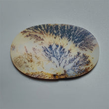 Scenic Agate Lot