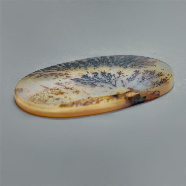 Scenic Agate Lot