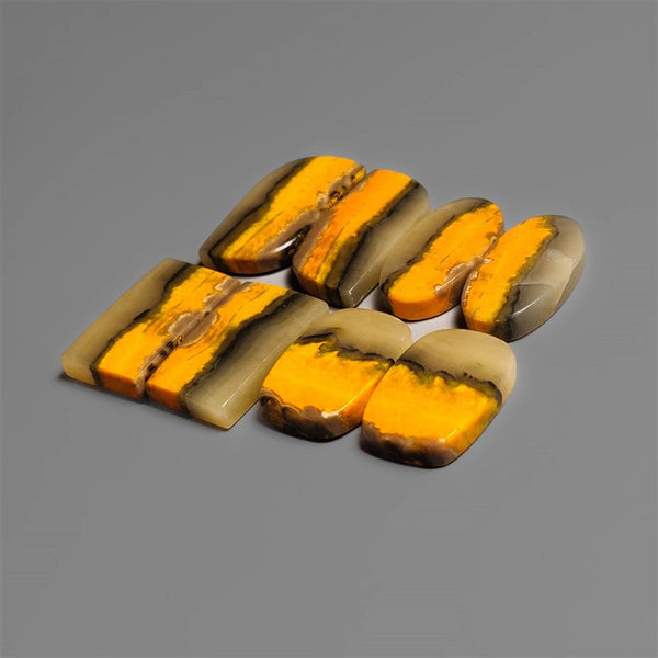 Bumble Bee Jasper Cabochons Lot