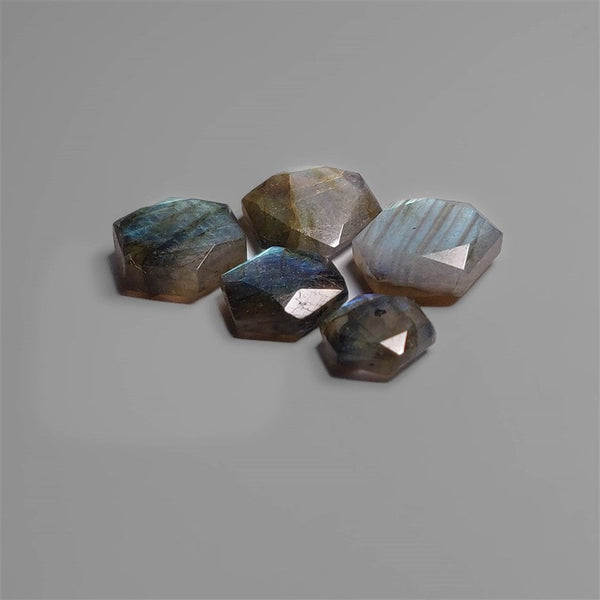 Step Cut Labradorites Lot