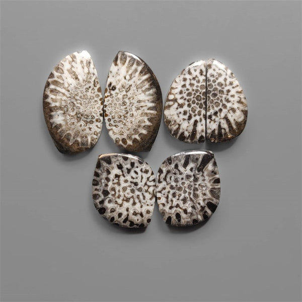 Stingray Black Fossil Coral Pairs Lot