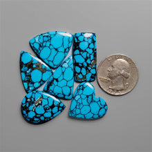 Compressed Spiderweb Turquoise Cabochons Lot
