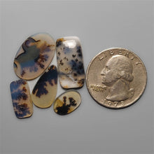 Scenic Dendritic Agate Cabochons Lot
