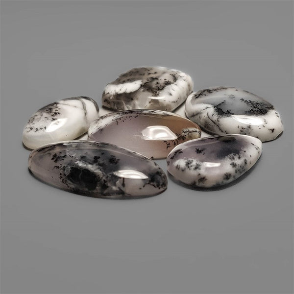 Dendritic Agate Cabochons Lot
