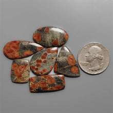 Rare Peanut Obsidian Cabochons Lot