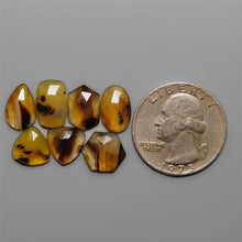 Rose Cut Montana Agate Lot