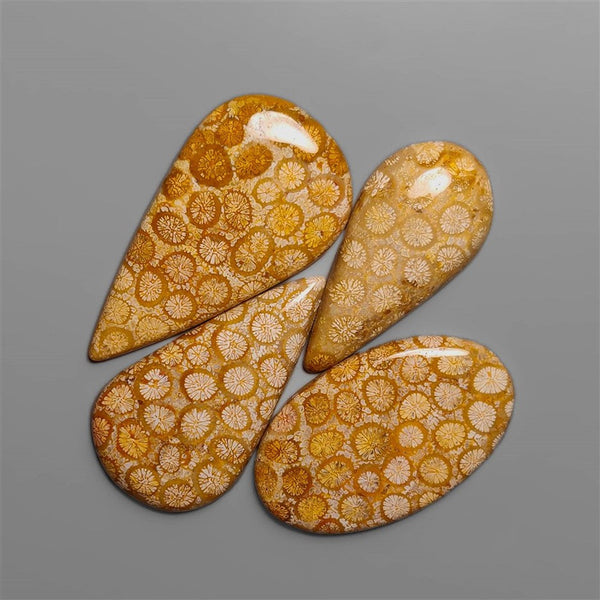 Fossil Coral Cabochons Lot