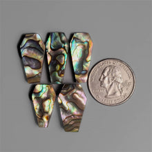 Abalone Shell Coffins Lot