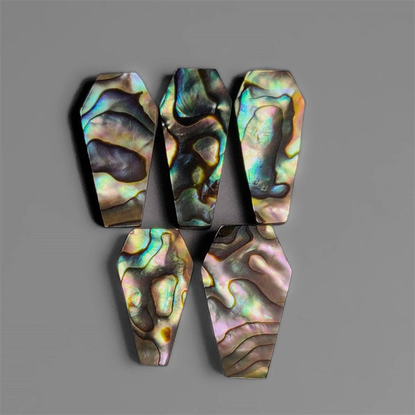 Abalone Shell Coffins Lot