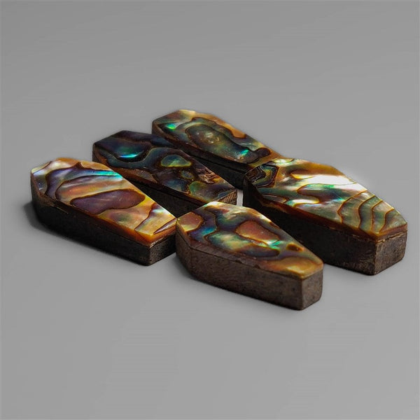 Abalone Shell Coffins Lot