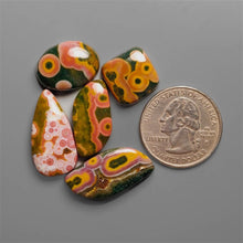Obicular Ocean Jasper Cabochons Lot