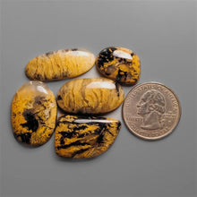 Austraian yellow Tiger Dendritic Agate Cabochons