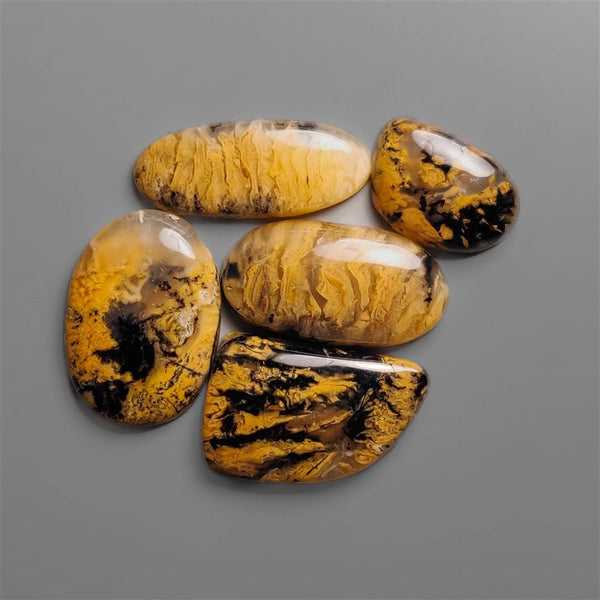 Austraian yellow Tiger Dendritic Agate Cabochons 