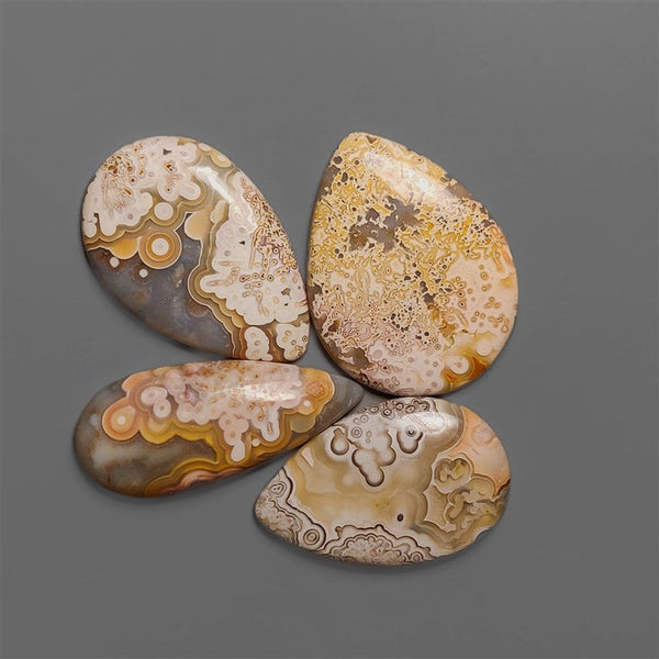 Selected Crazy Lace Agate Cabochons Lot
