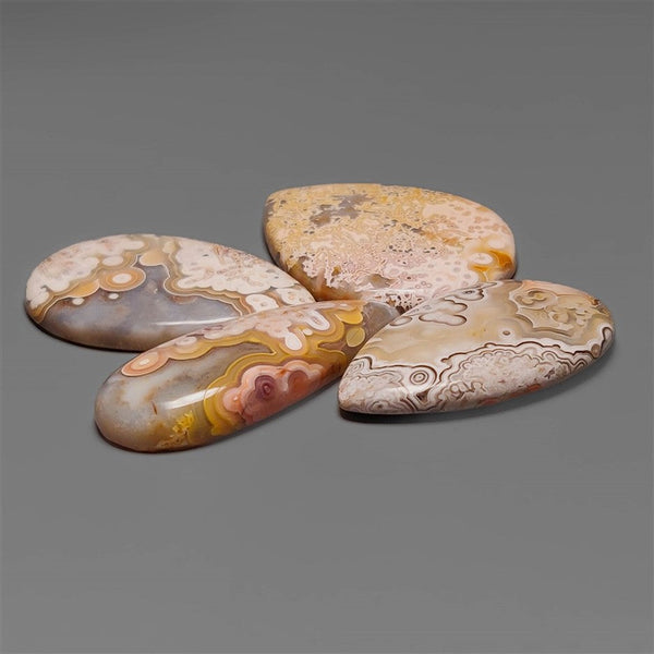 Selected Crazy Lace Agate Cabochons Lot