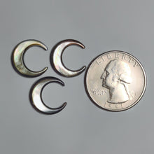 Tahitian Mother of Pearl Crescents Lot