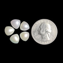 Calibrated Freshwater Pearls Lot