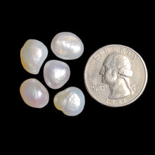 Freeform Freshwater Pearls Lot