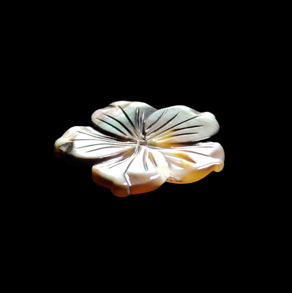 Rainbow Tahitian Mother of Pearl Flower-5021 | Gemstone for sale | Pearl for sale