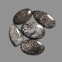 Black Fossil Coral Cabochons Lot-4643 | Gemstone for sale