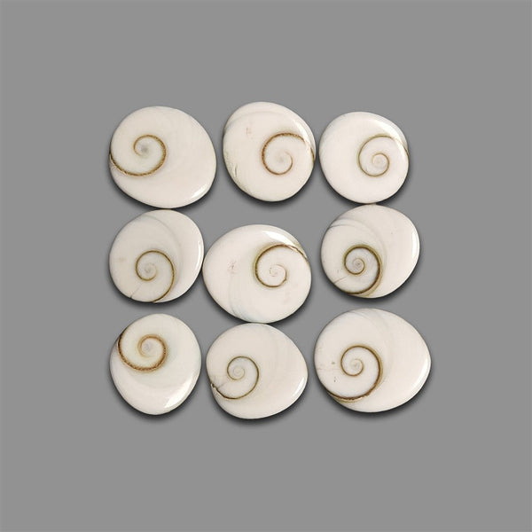Shiva Eye Shell Cabochons Lot