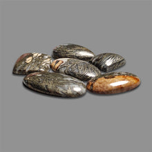 Feather Pyrite Cabochons Lot