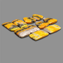 Bumble Bee Jasper Pairs Lot