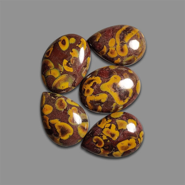 Fruit Jasper Cabochons Lot-4665 | Gemstone for sale