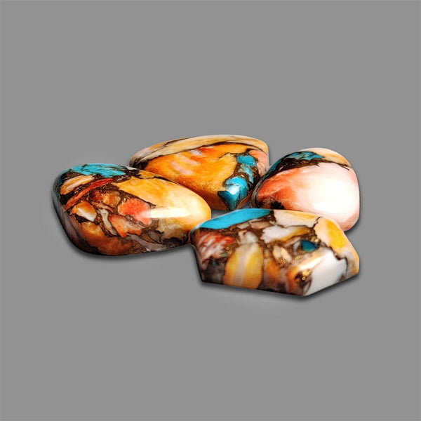 Spiney Oyster Turquoise Cabochons Lot