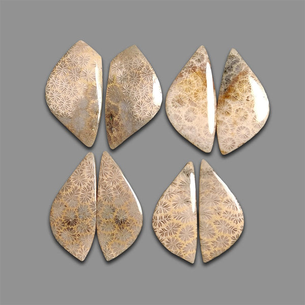 Fossil Coral Pairs Lot-4677 | Gemstone for sale