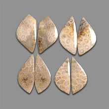 Fossil Coral Pairs Lot-4677 | Gemstone for sale